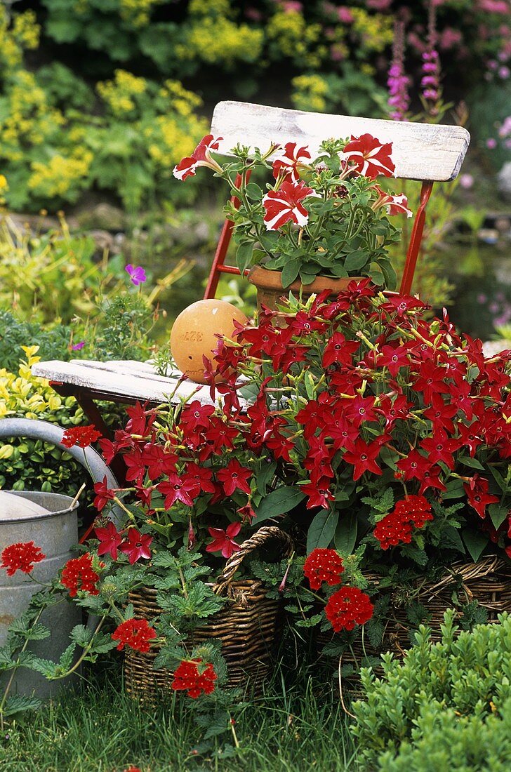 Gartenstuhl mit roten Blumen dekoriert