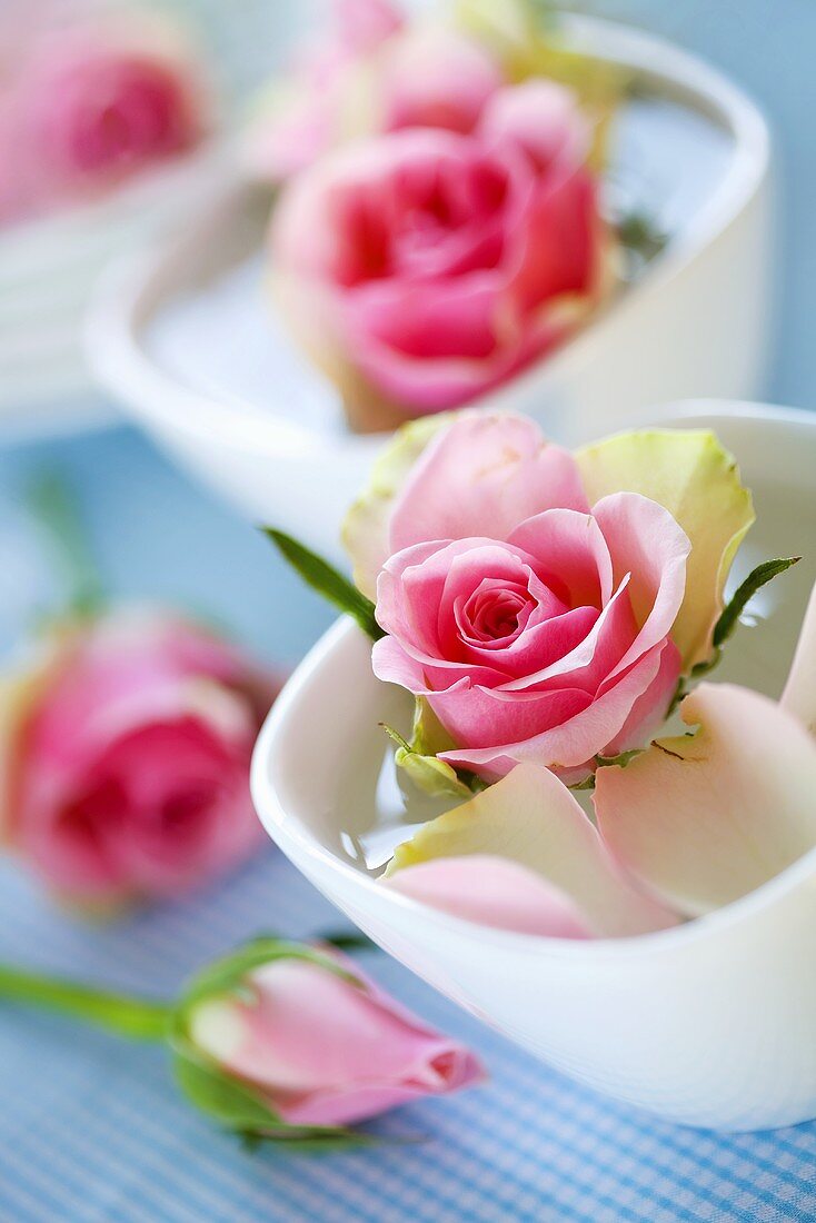 Rosenblüten in Schälchen als Tischdeko