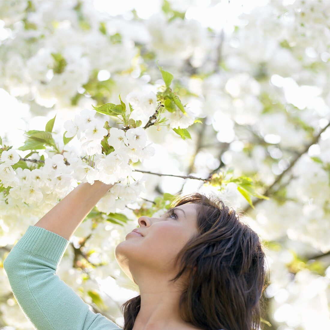 Frau riecht an weissen Blüten am Baum