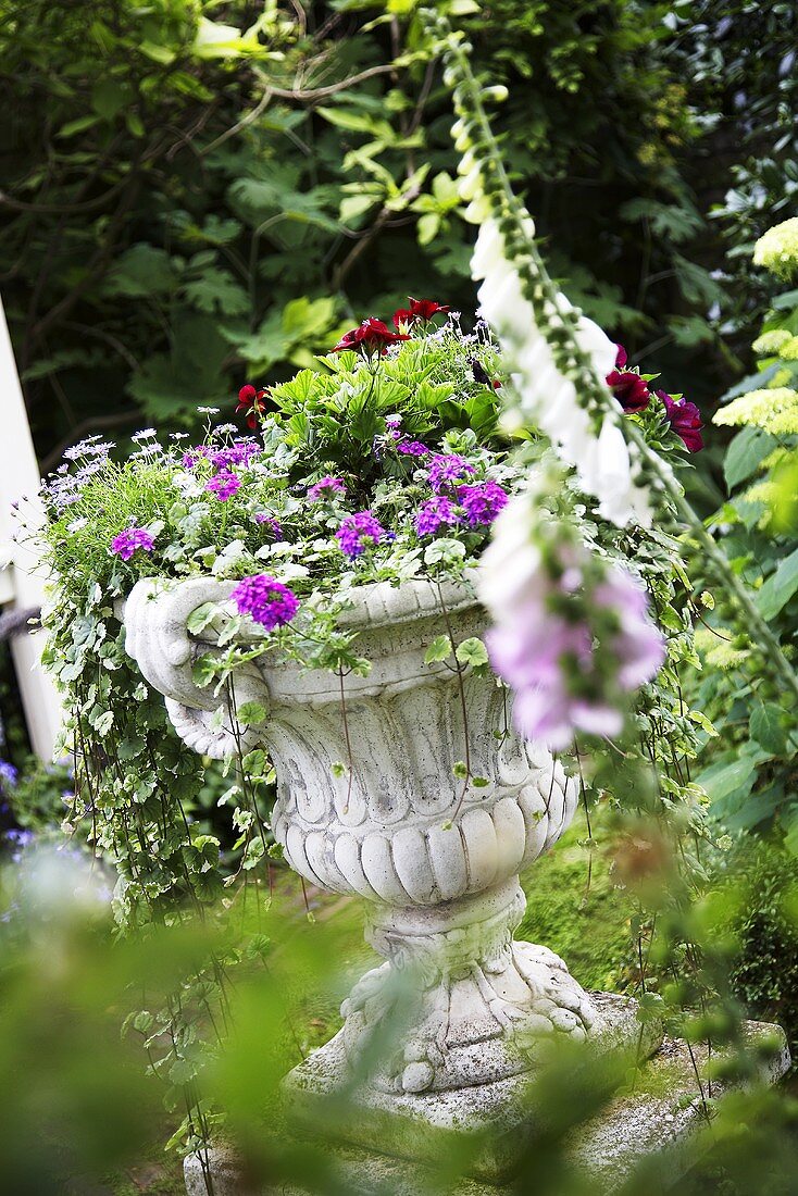 Flowering plants in stone vase in garden