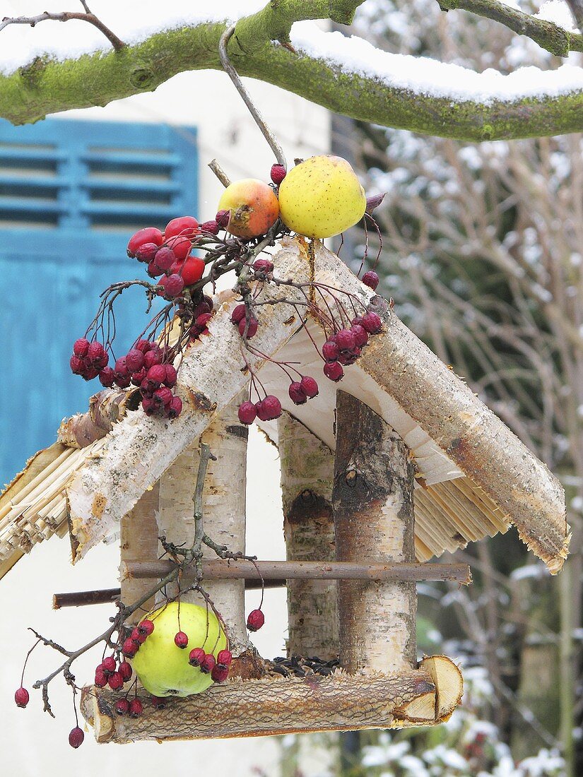 Bird house with rose hips, apples and firethorn in tree