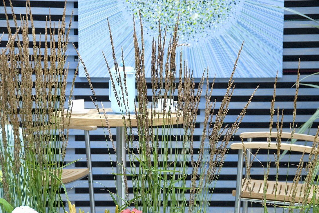 Reed grass (Calamagrostis x acutifolia) in front of garden furniture