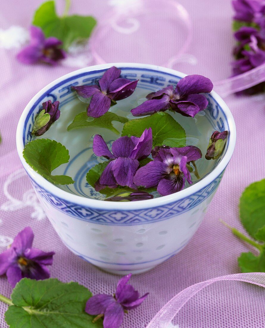 Violets in patterned bowl