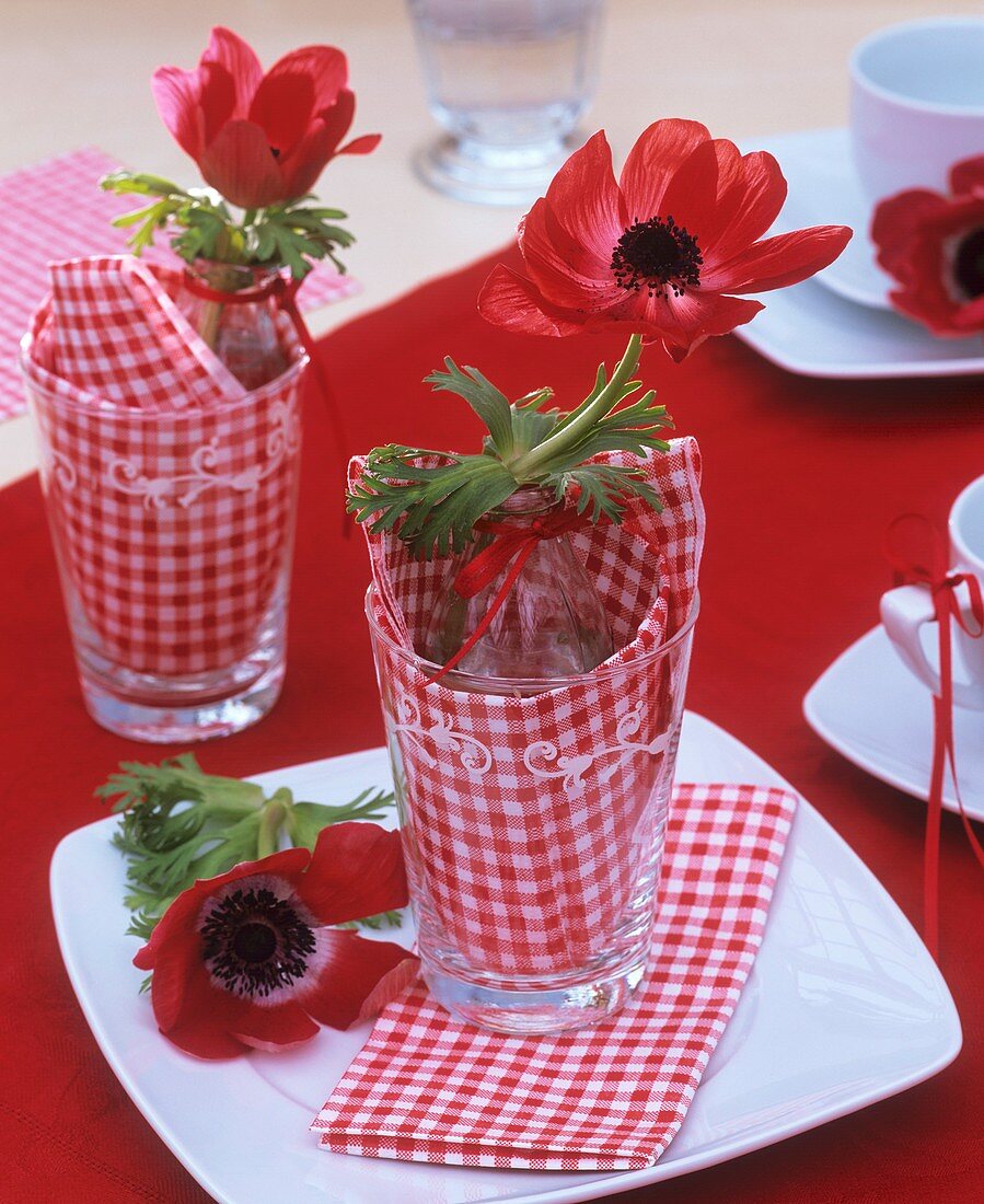 Rote Kronenanemone im Glas als Tischdeko