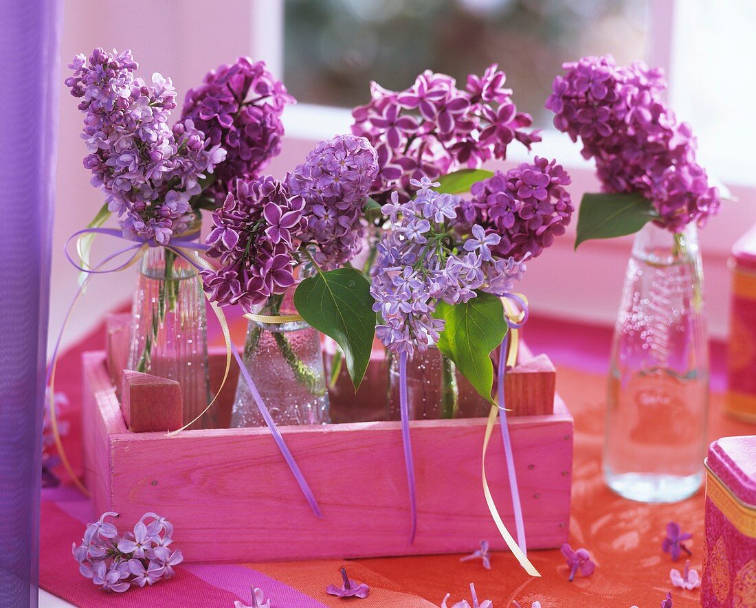 Lavender in small bottles