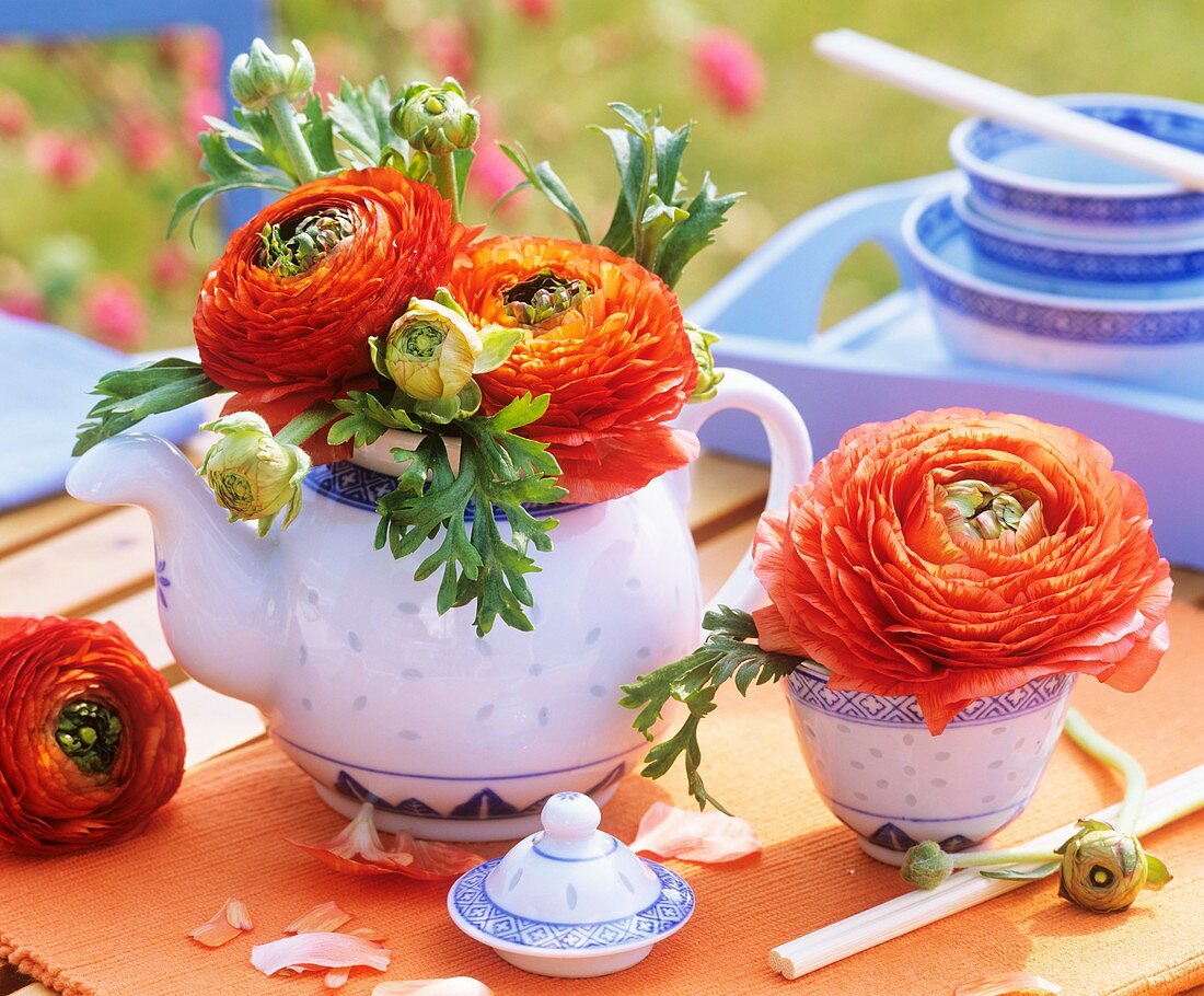 Orange ranunculus in teapot and bowl