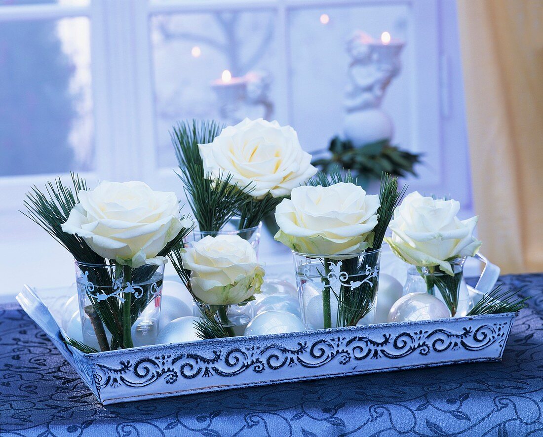 weiße Rosen mit Kieferzweigen in Gläsern