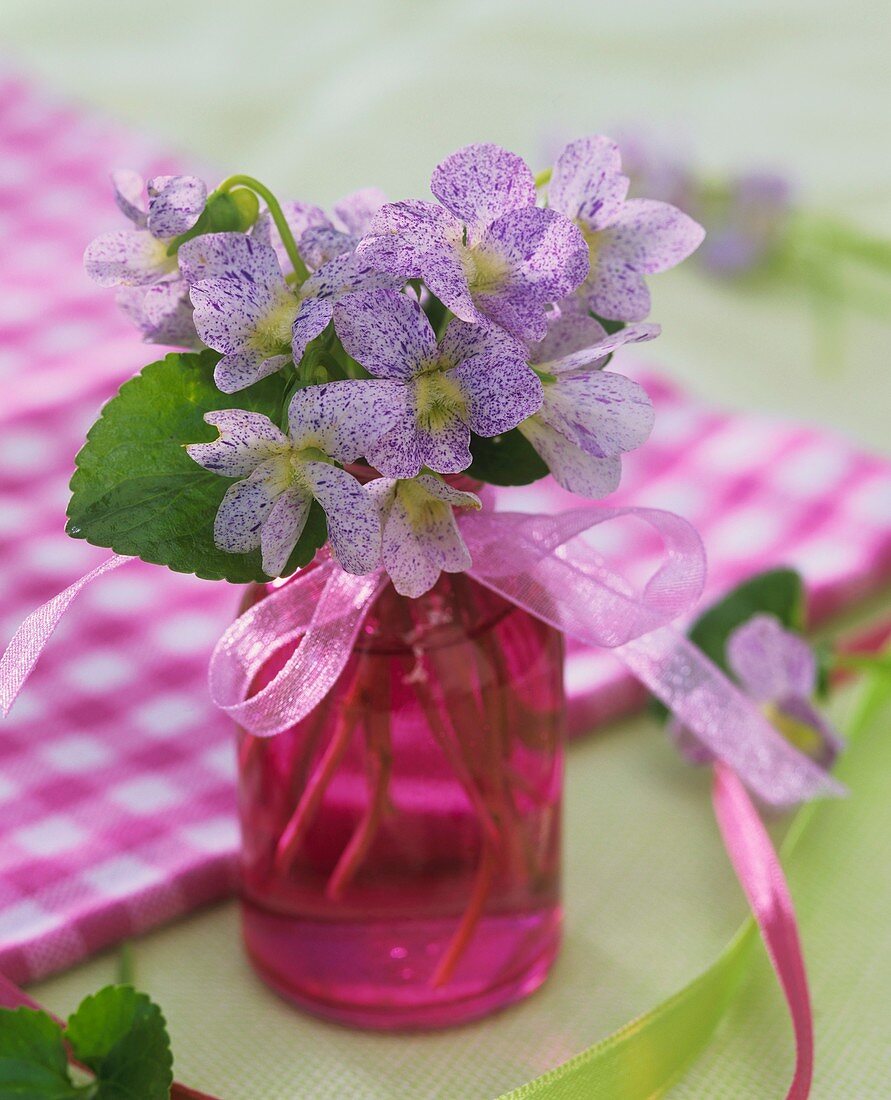 Speckled violets in a vase