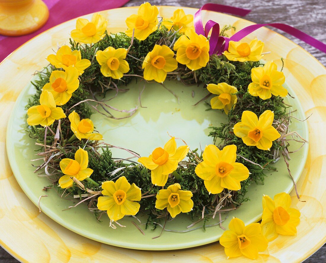Wreath of narcissi, moss and hay