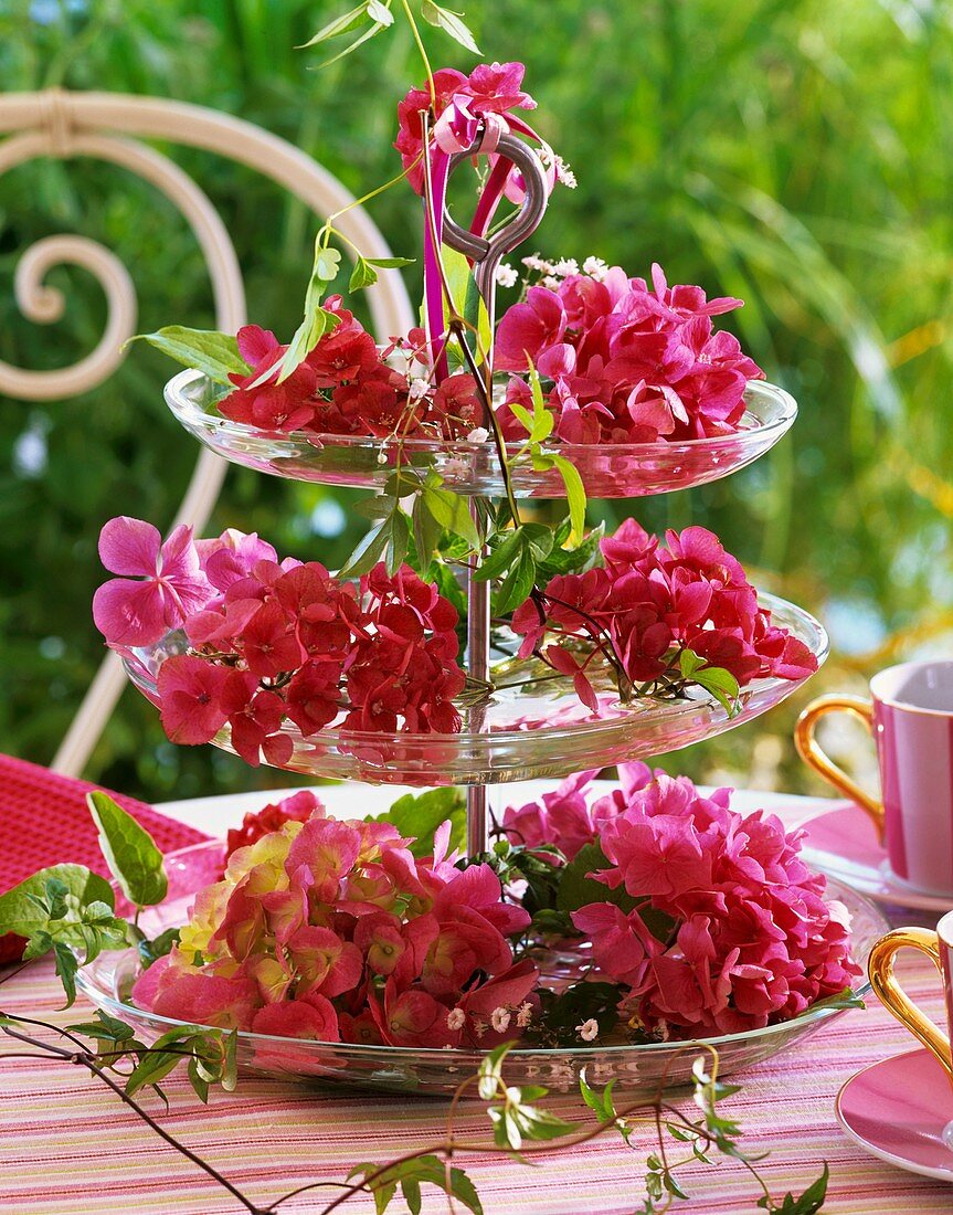 Pink hydrangeas and clematis shoots on tiered glass stand