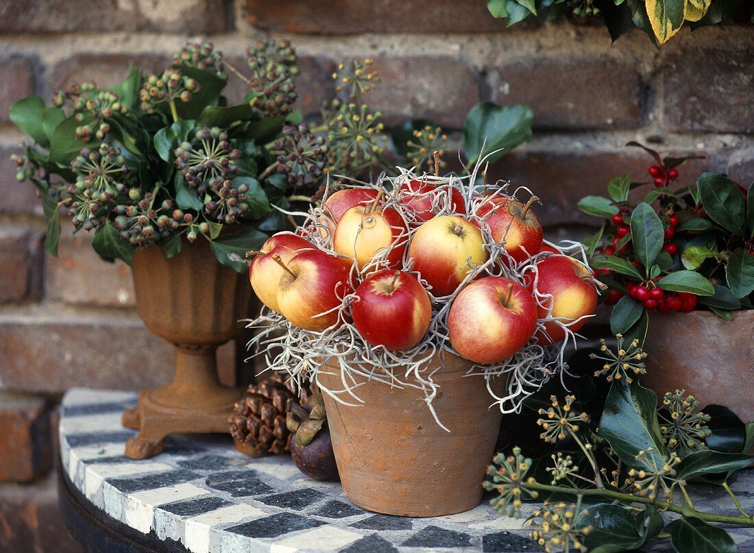 Winterdeko: Topf mit Äpfeln und Metallvase mit Strauchefeu