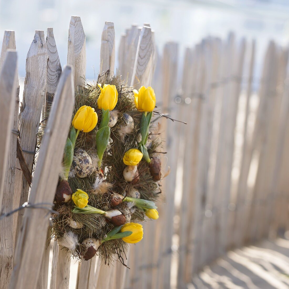 Easter wreath with yellow tulips on garden fence