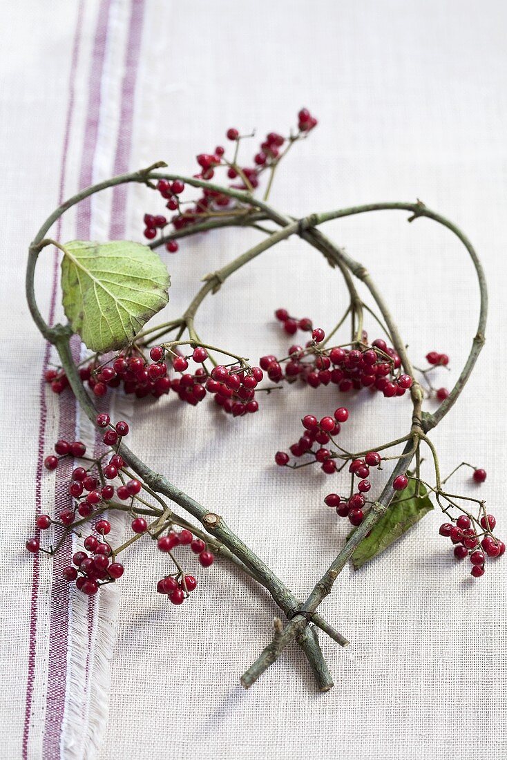 Viburnum twigs with berries forming a heart