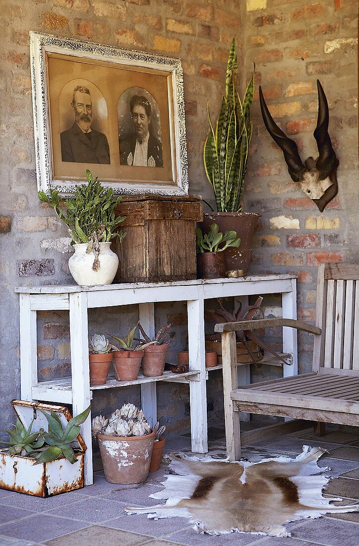 Eine Terrasse mit Pflanzen, Bildern und Geweih