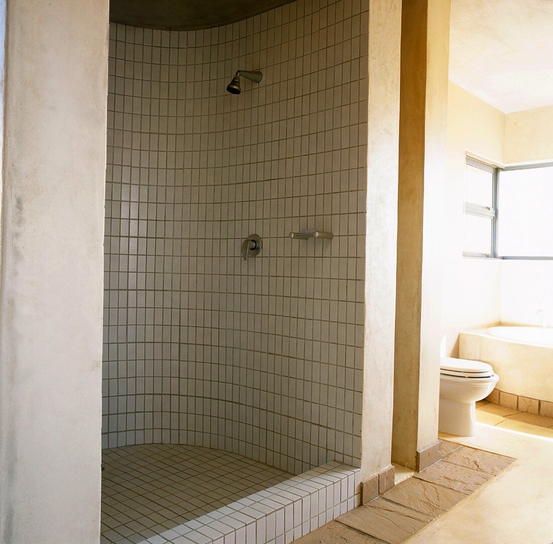 Bathroom with shower area