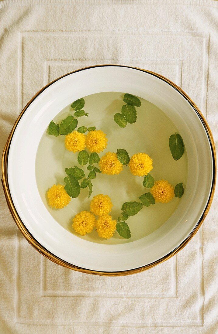 Yellow flowers floating in bowl