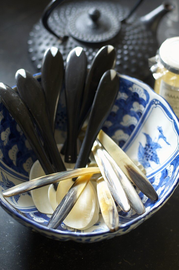 Hornlöffel in asiatischer Porzellanschüssel, Teekanne