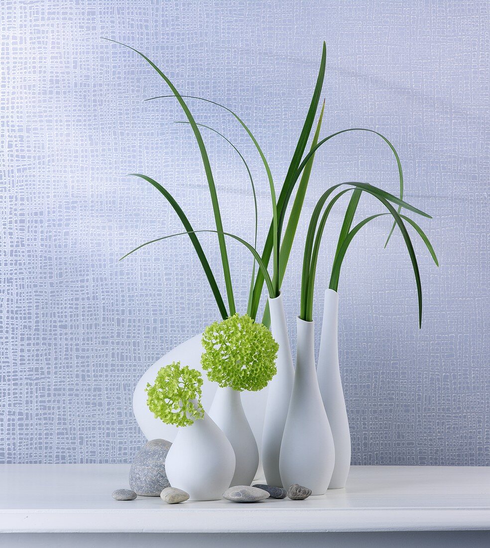 Grass and hydrangeas in vases