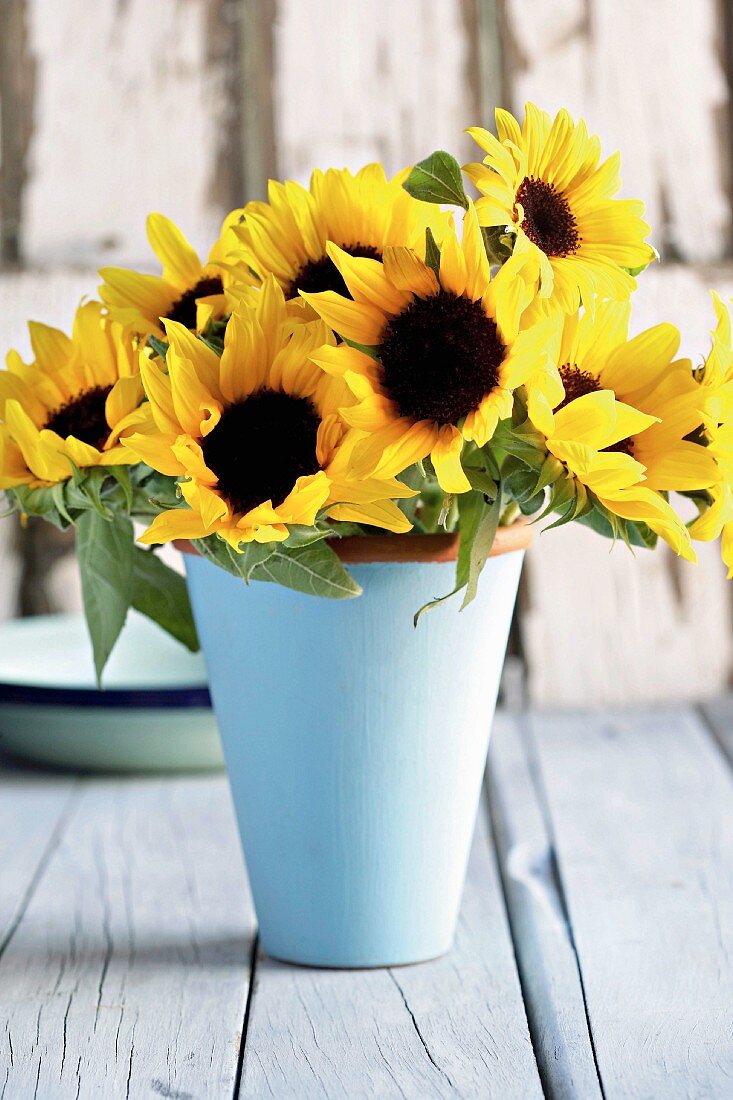 Vase of sunflowers