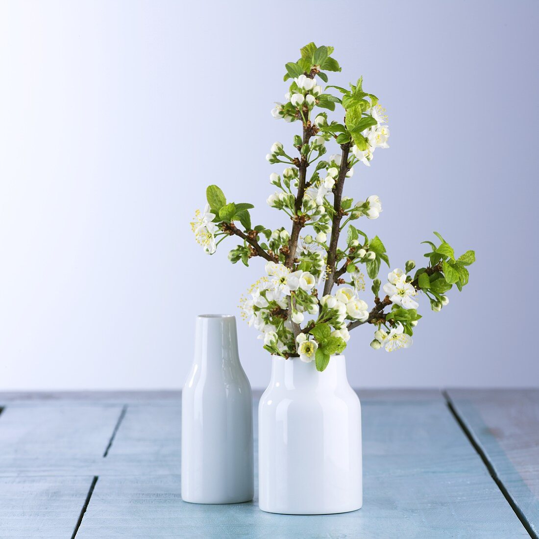 Vase mit Pflaumenblütenzweigen