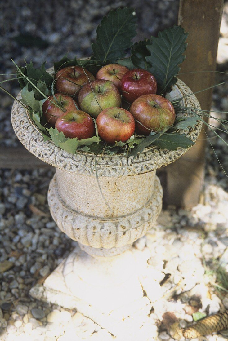 Äpfel in einer dekorativen alten Steinvase