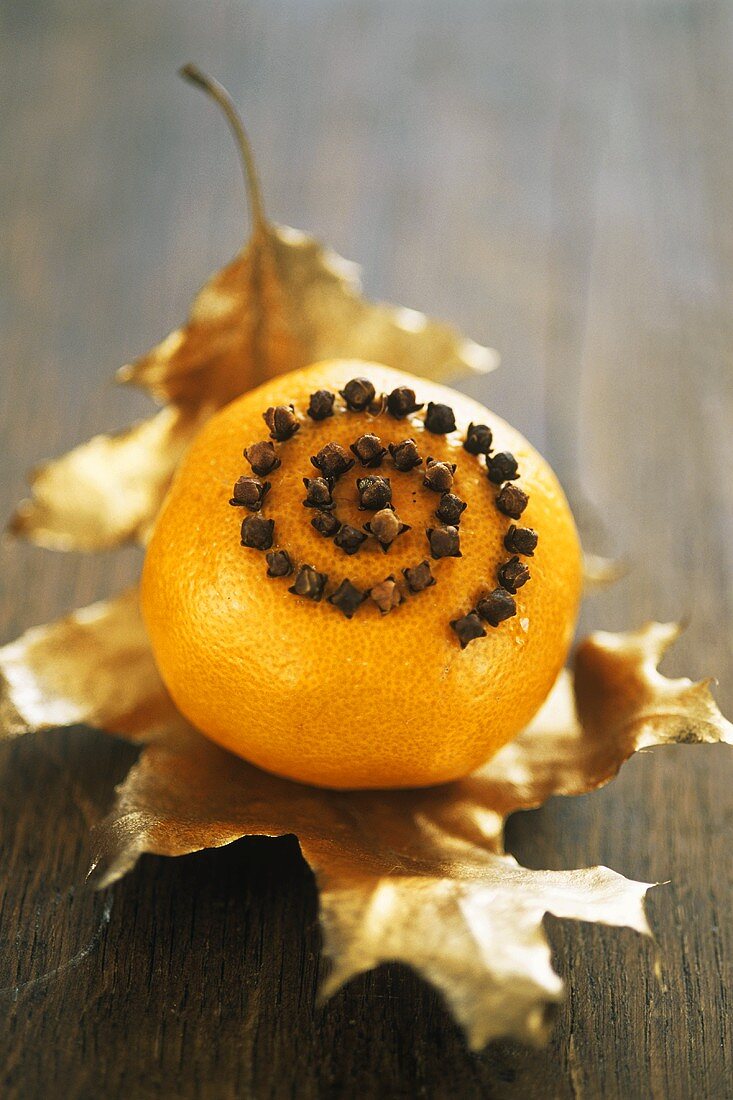 Mit Nelken gespickte Orange auf vergoldetem Stechpalmenblatt