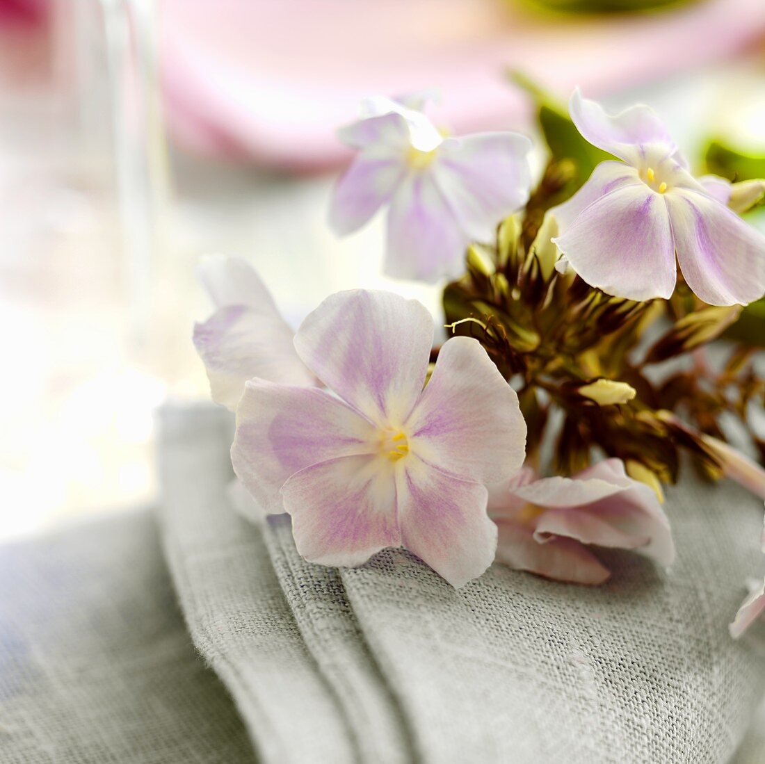 Pastel-coloured flowers