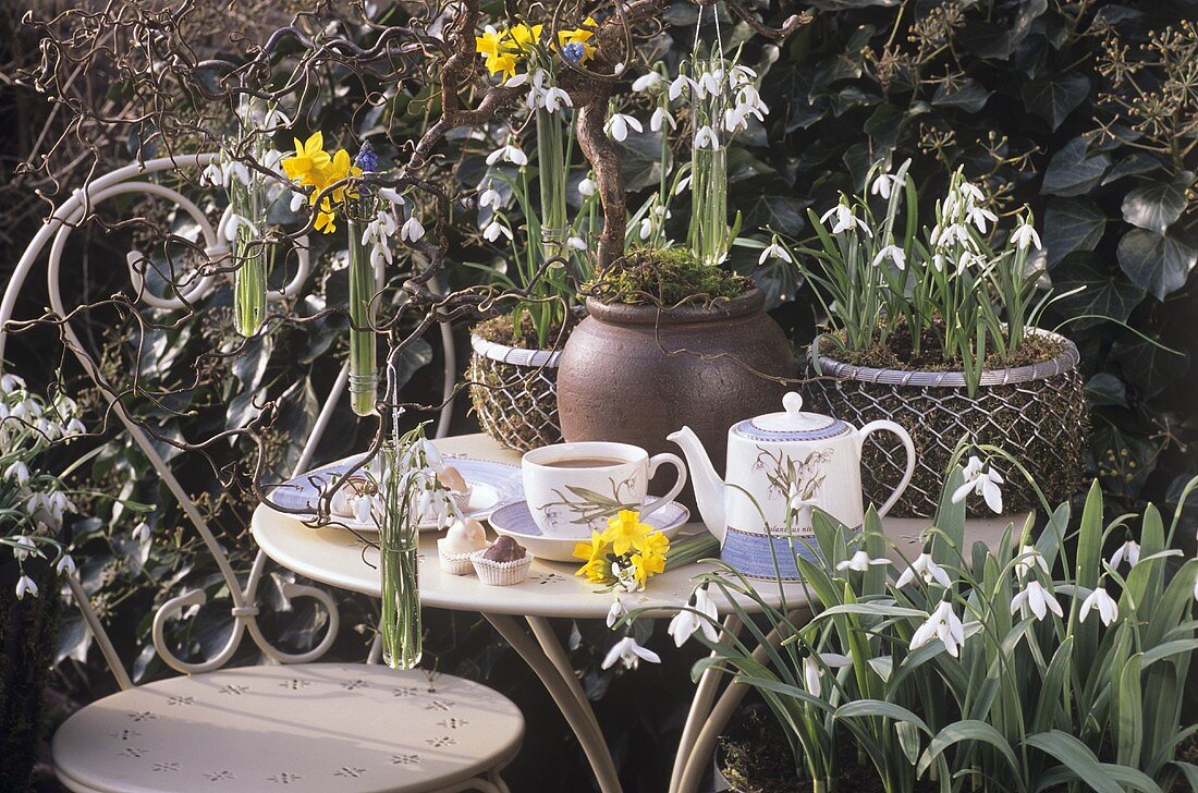 Snowdrops decorating a terrace
