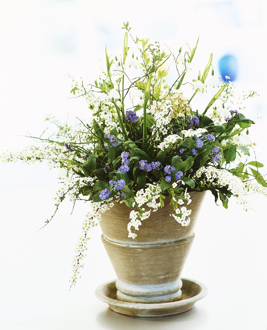 Arrangement of forget-me-nots, spiraea & lilies-of-the-valley