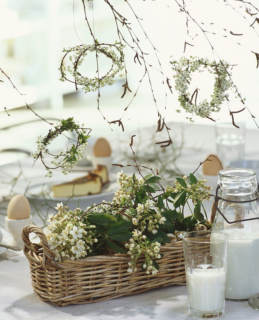 Basket & wreaths of flowering twigs as table decoration