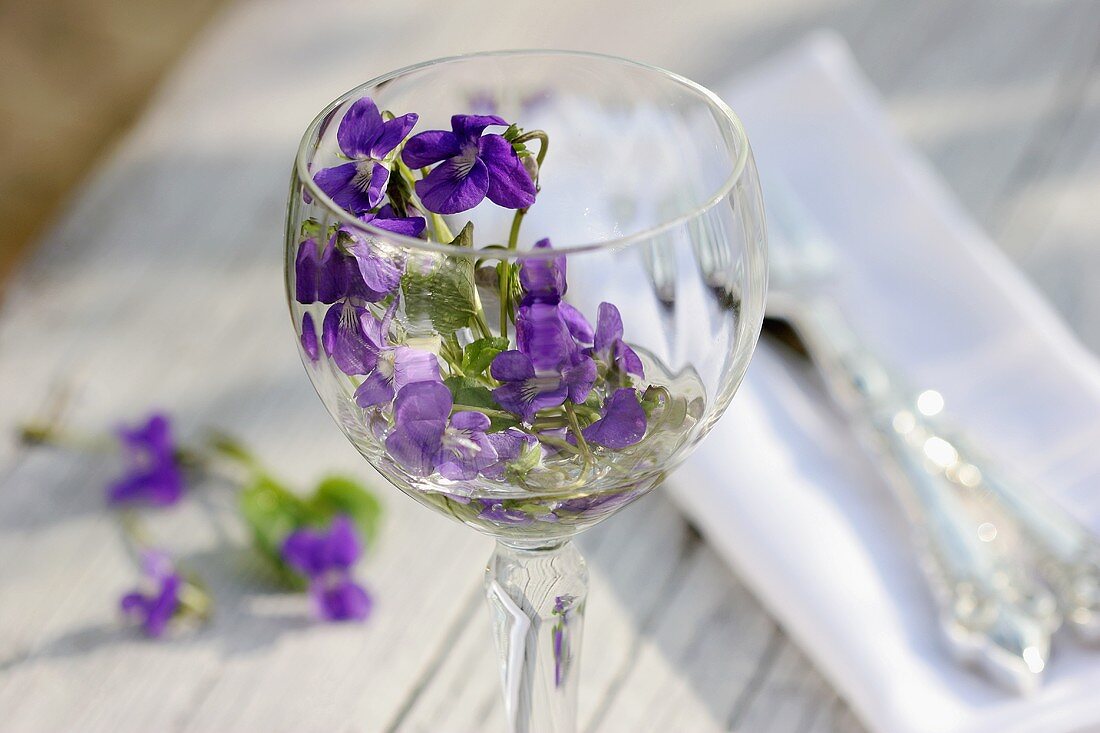 Veilchen in einem Weinglas