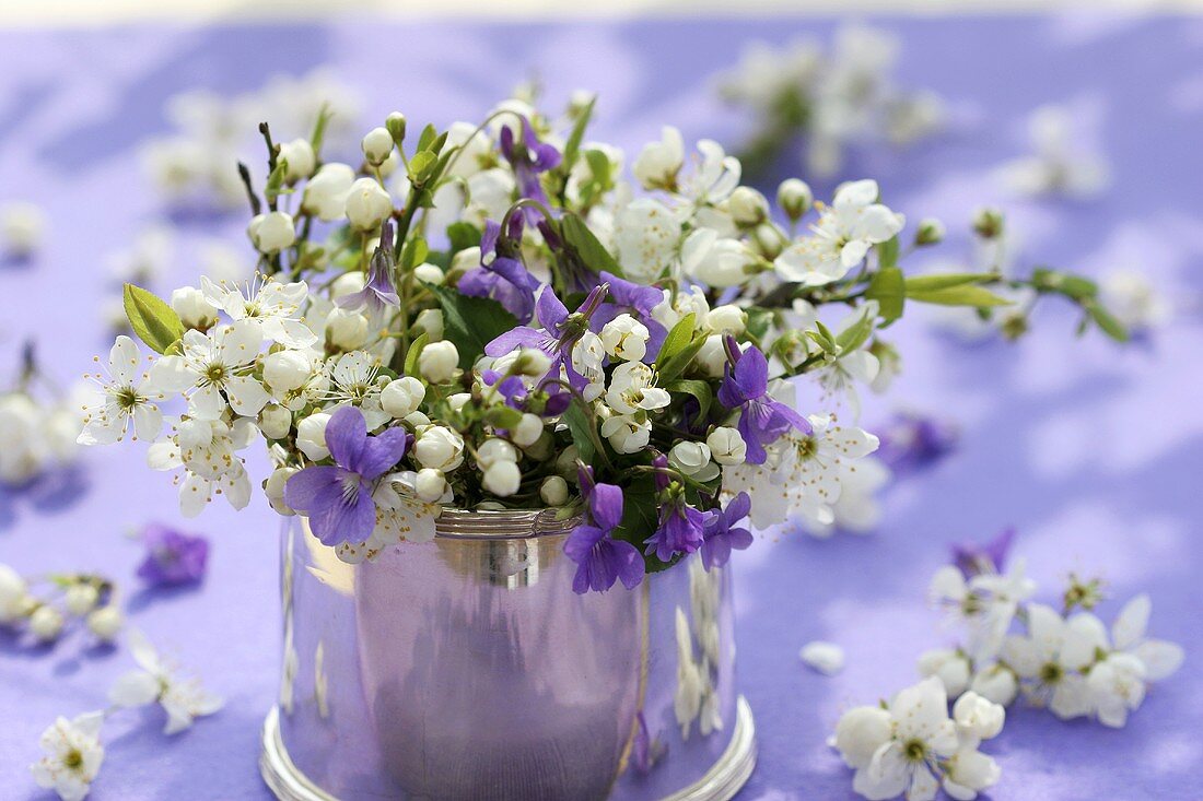 Bunch of violets and sprigs of blossom in a tin