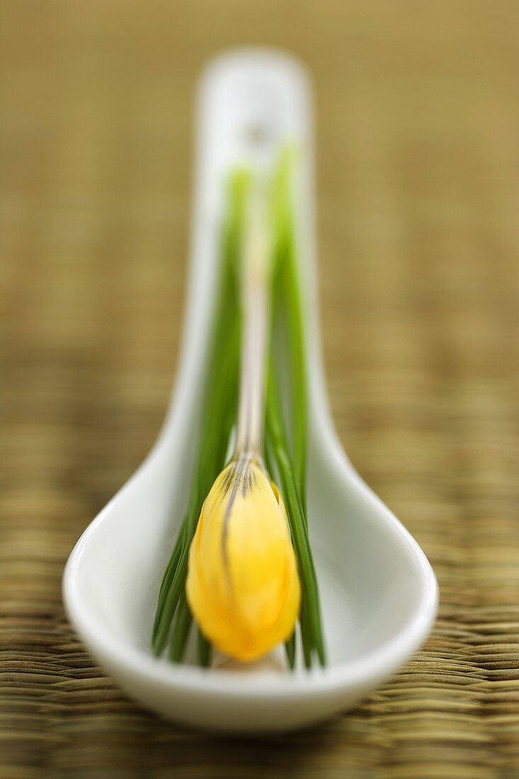 Asiatischer Suppenlöffel mit gelber Blüte