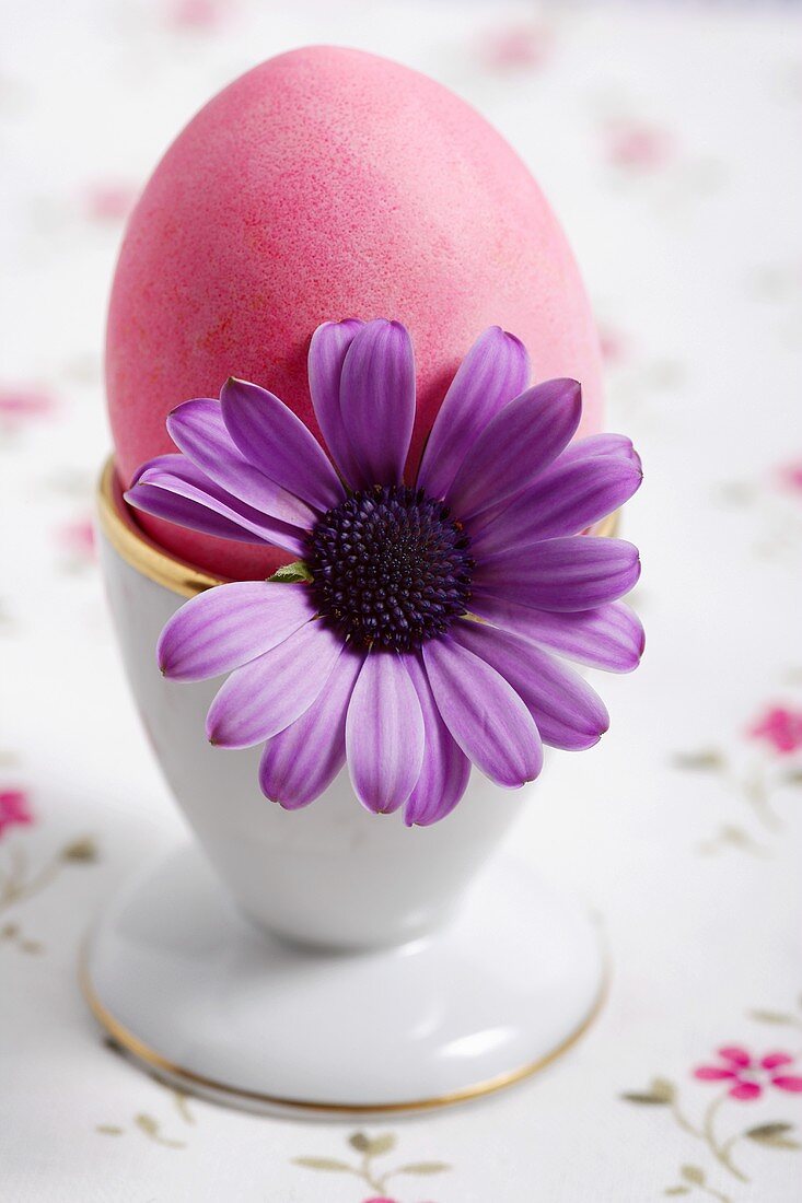 ein rosa osterei im eierbecher mit blüte  bild kaufen