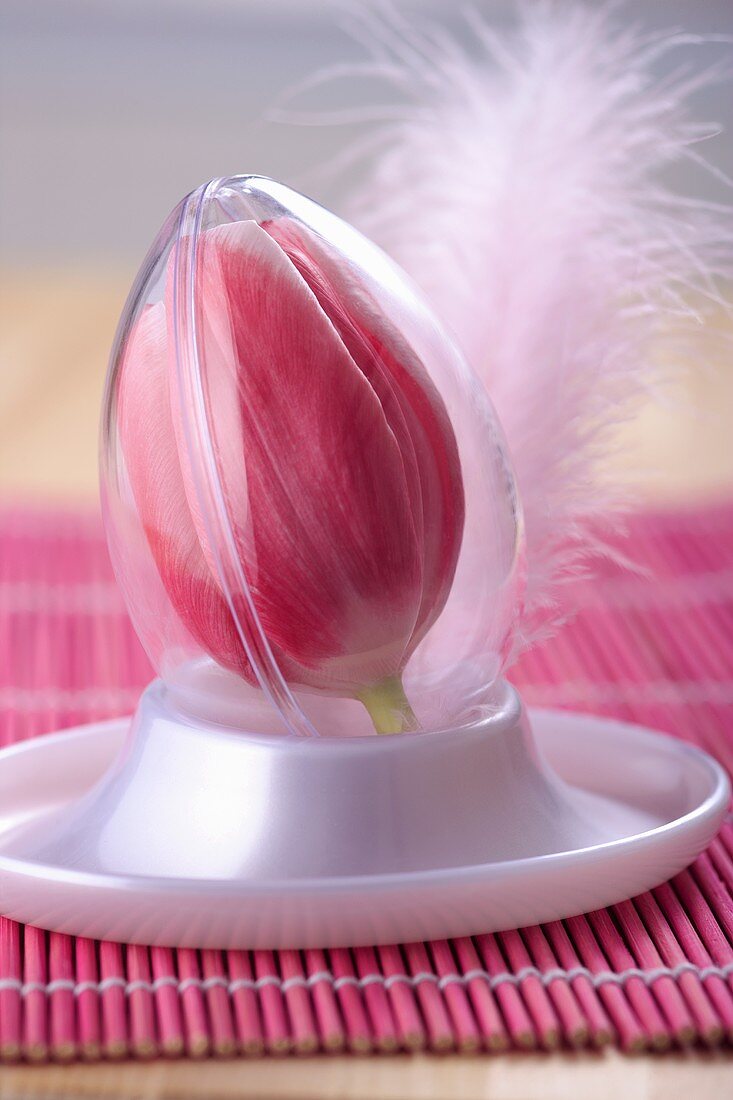 Eine rosa Tulpenblüte in Eierform aus Plastik