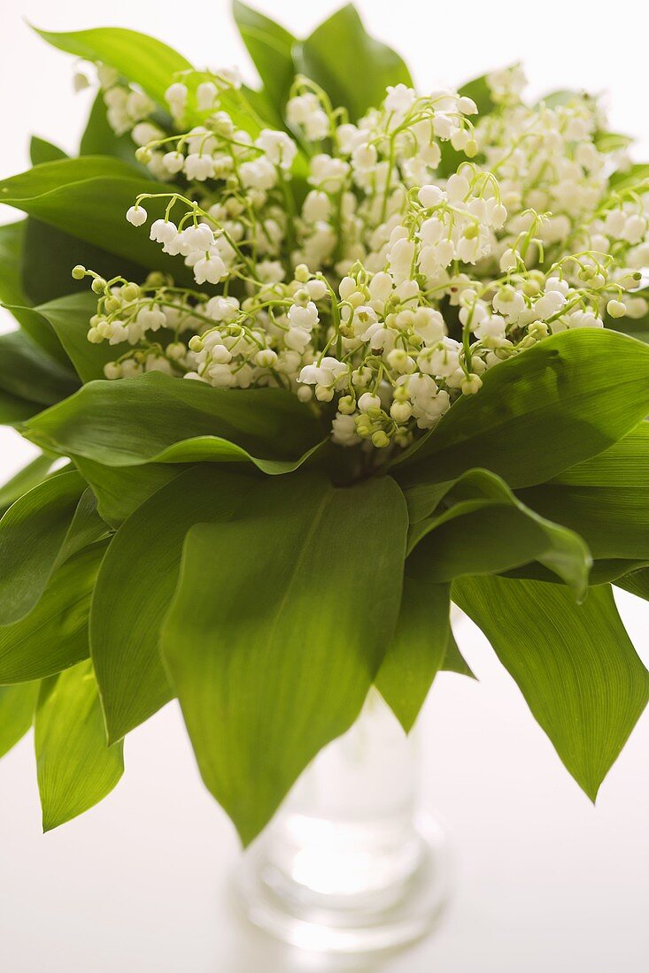 A posy of lilies-of-the-valley