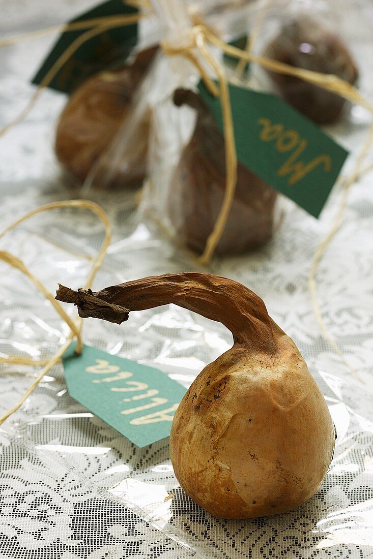 Novel place-cards attached to onions