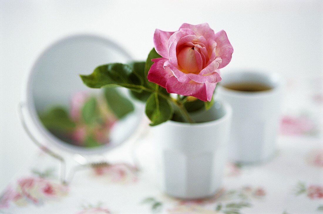 Eine Rosenblüte im Porzellanbecher mit Spiegel im Hintergrund