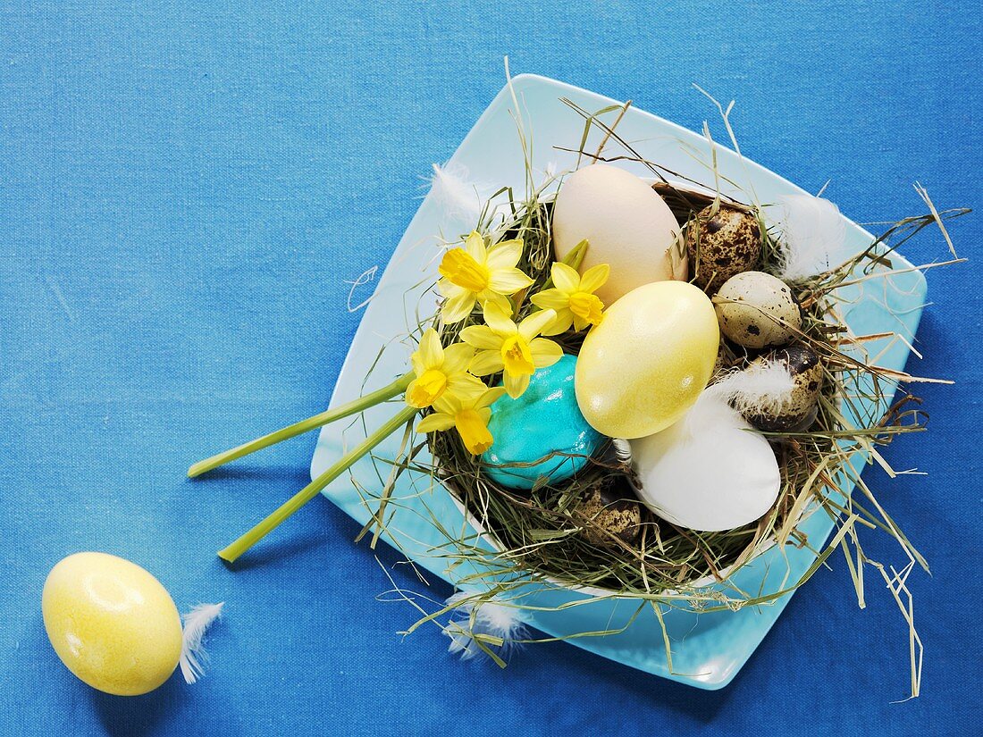Eier im Osternest mit Narzissen und Heu