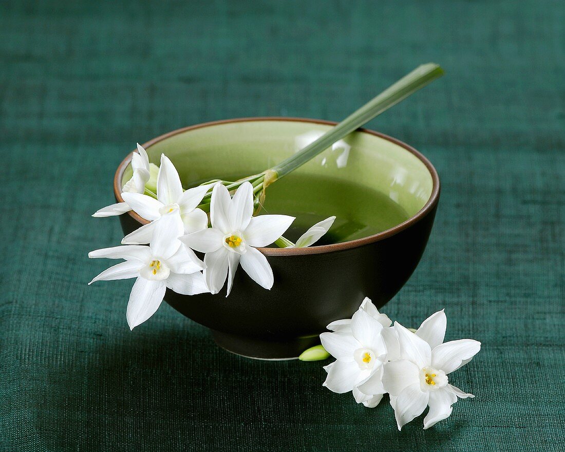 Narcissi lying across a bowl of water with flowers