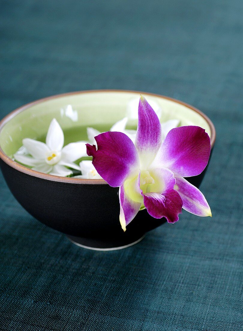 Orchideenblüte ragt aus eine Schale mit Wasser und Narzissen