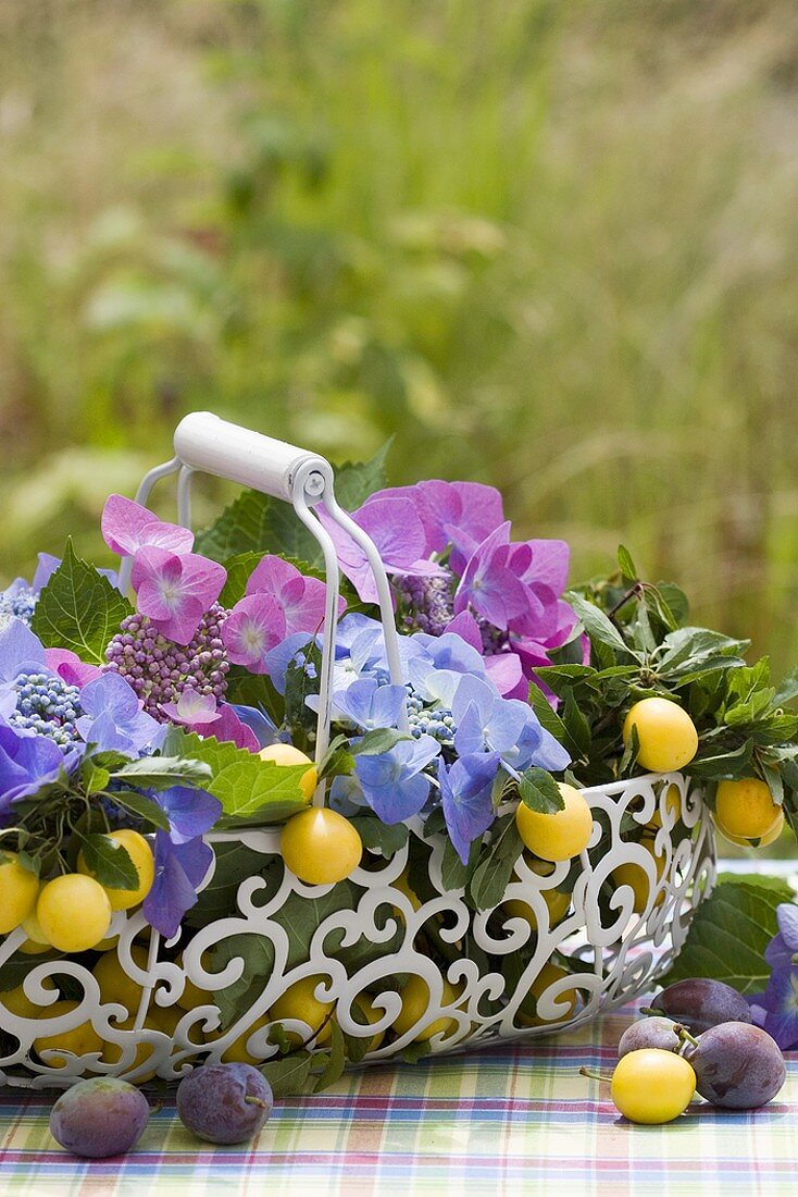Hydrangeas, damsons and mirabelles in a wire basket