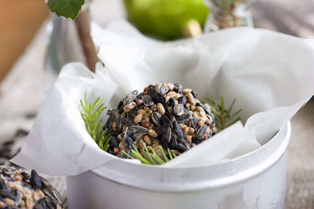 Ball of bird food in metal container with sprigs of spruce