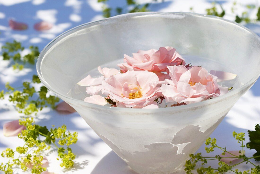 Roses floating in a glass bowl
