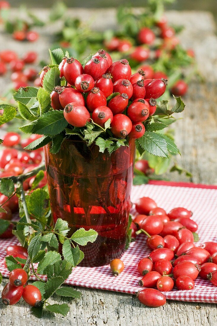 A bunch of rose hips in a glass