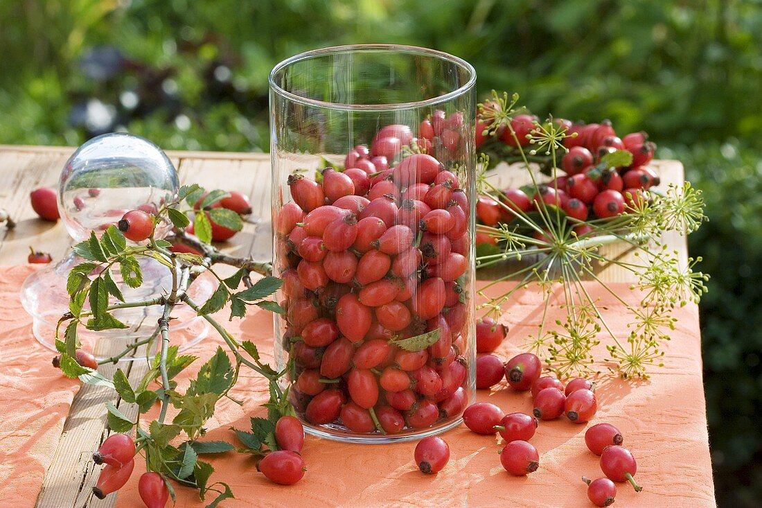 Rose hips in a glass