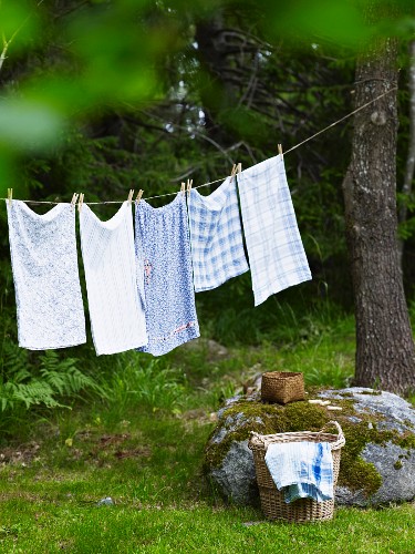 Wäsche auf Wäscheleine im Garten Bild kaufen 11241577 living4media