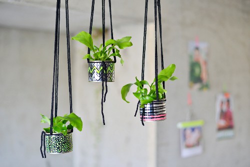 Tin cans decorated with graphic patterns and neon patterns used as hanging planters for small ferns