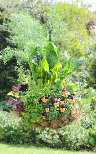 Aufgehängte Pflanzschale, mit Blumen und Gemüse in sommerlichem Garten