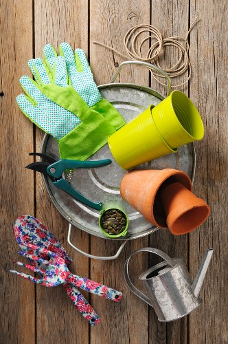 Gartenutensilien und Samen auf … – Bild kaufen – 11397509 living4media